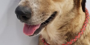 20190704-14030180030CB3-2986-222B-5269-D68B80D31D91.jpg