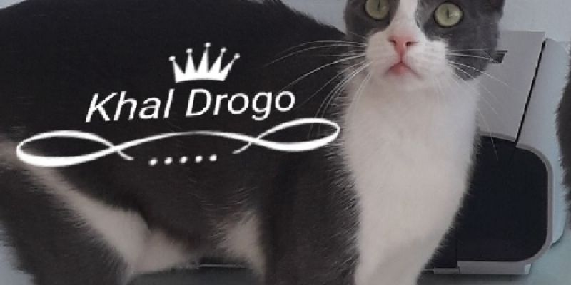 khal-drogoADFF04C6-AE1A-60CB-F6C7-3211D7BA52ED.jpg